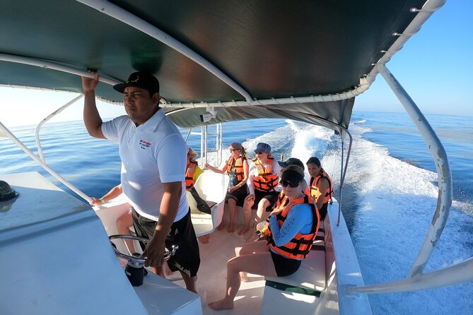 Cancun Whale Shark Experience with Snorkel & Transportation - What the $210 price really covers