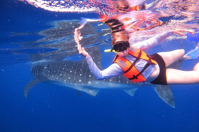 Cancun Whale Shark Experience with Snorkel & Transportation - What the early boat ride is like