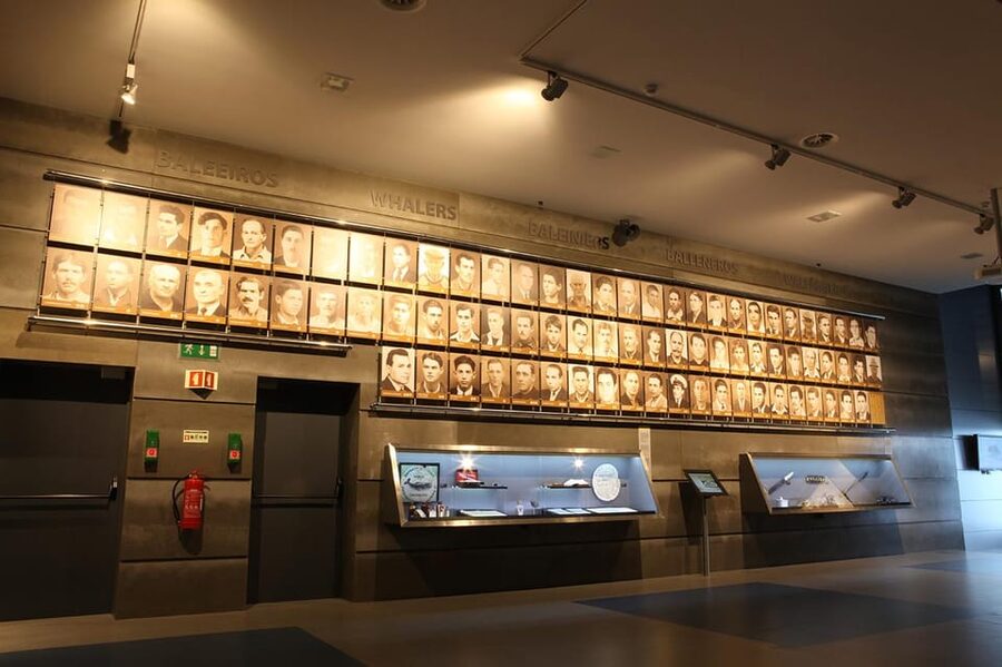 Caniçal : Madeira Whale Museum Entry ticket - Who will enjoy it most