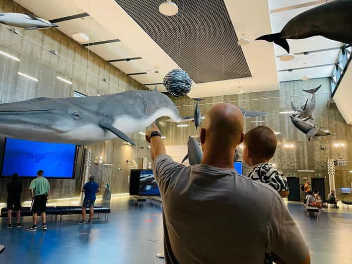 Caniçal : Madeira Whale Museum Entry ticket - Follow Madeira’s whaling story through objects