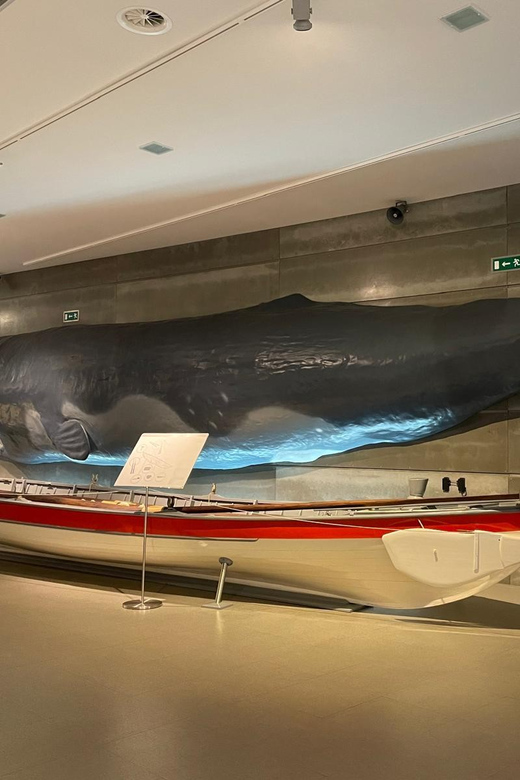 Caniçal : Madeira Whale Museum Entry ticket - Use the audio guide at your own speed