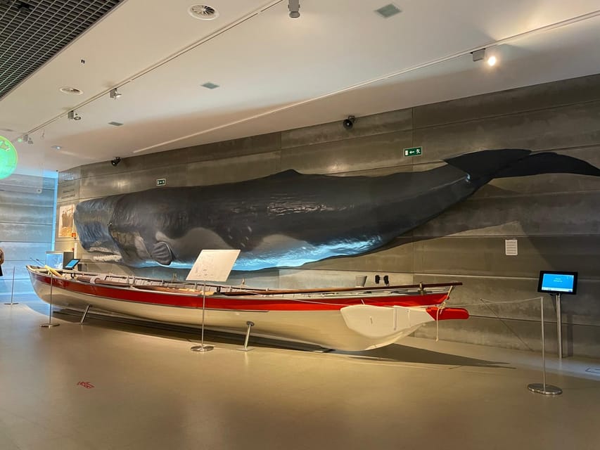 Caniçal : Madeira Whale Museum Entry ticket - How long the visit deserves