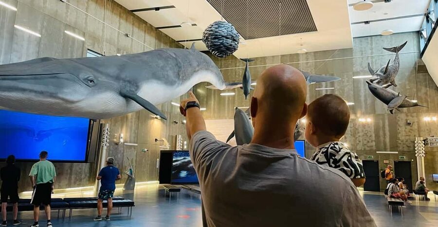 Caniçal : Madeira Whale Museum Entry ticket - Is the $11 ticket good value?