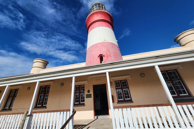 Cape Agulhas, Hermanus Whale Watching, Penguins and Wine Tasting - Stony Point: close views of African penguins
