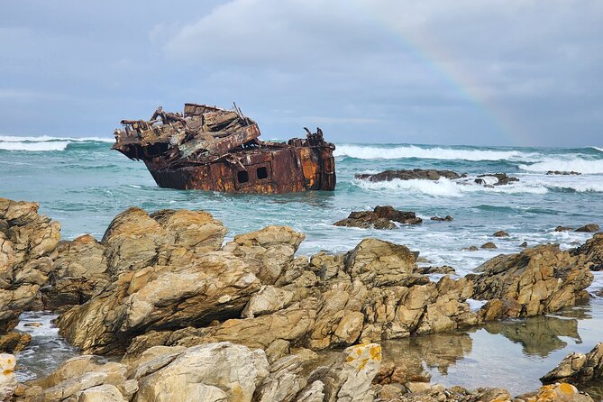 Cape Agulhas, Hermanus Whale Watching, Penguins and Wine Tasting - Stellenbosch and the wine-country choice