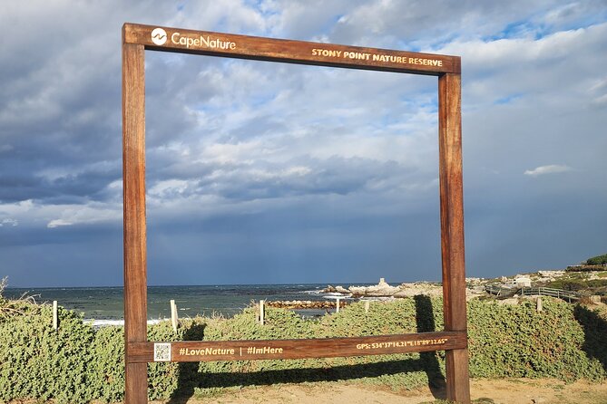 Cape Agulhas, Hermanus Whale Watching, Penguins and Wine Tasting - The return via Clarence Drive