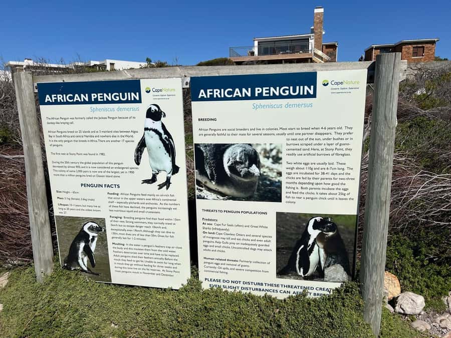 Cape Agulhas, Hermanus whales & Wine Tasting Day Trip - Stellenbosch wine and cheese at the finish