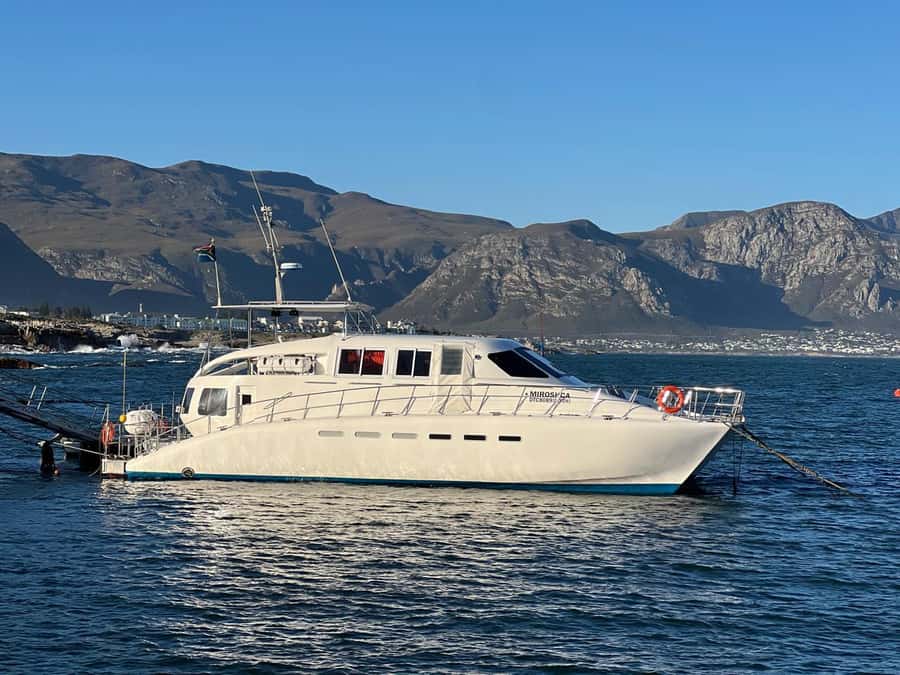 Cape Agulhas, Hermanus whales & Wine Tasting Day Trip - What the $264 price really covers