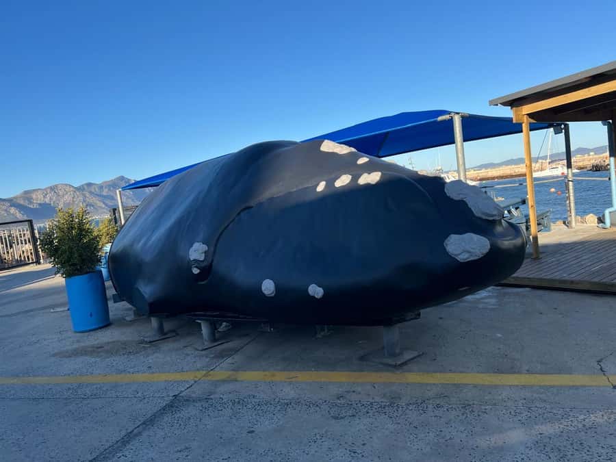 Cape Agulhas, Hermanus whales & Wine Tasting Day Trip - A guide can shape the whole day
