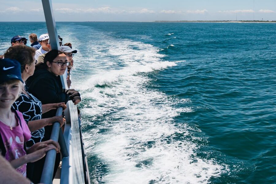 Cape May: Jersey Shore Whale and Dolphin Watching Cruise - My verdict on the Cape May Whale Watcher
