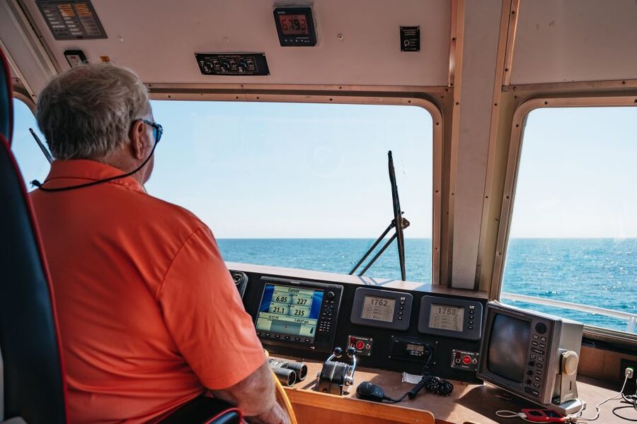 Cape May: Jersey Shore Whale and Dolphin Watching Cruise - What the Cape May cruise is really like