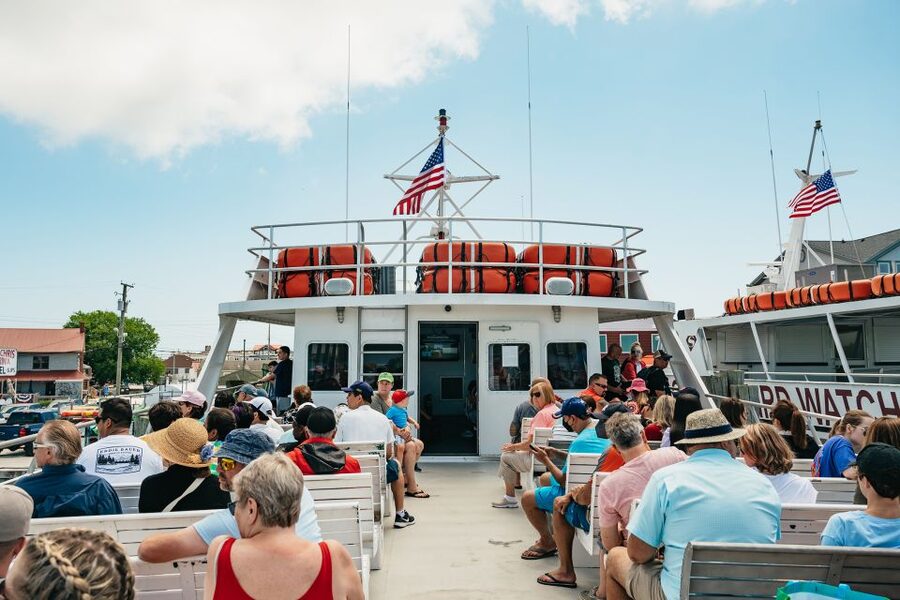 Cape May: Jersey Shore Whale and Dolphin Watching Cruise - Is $55 a fair price for three hours?