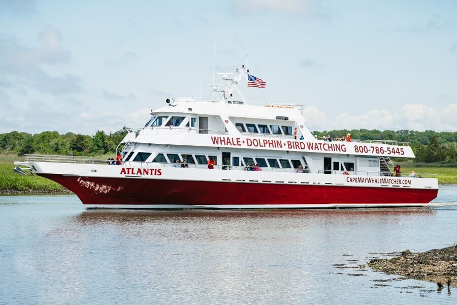 Cape May: Jersey Shore Whale and Dolphin Watching Cruise - Who will enjoy this most?
