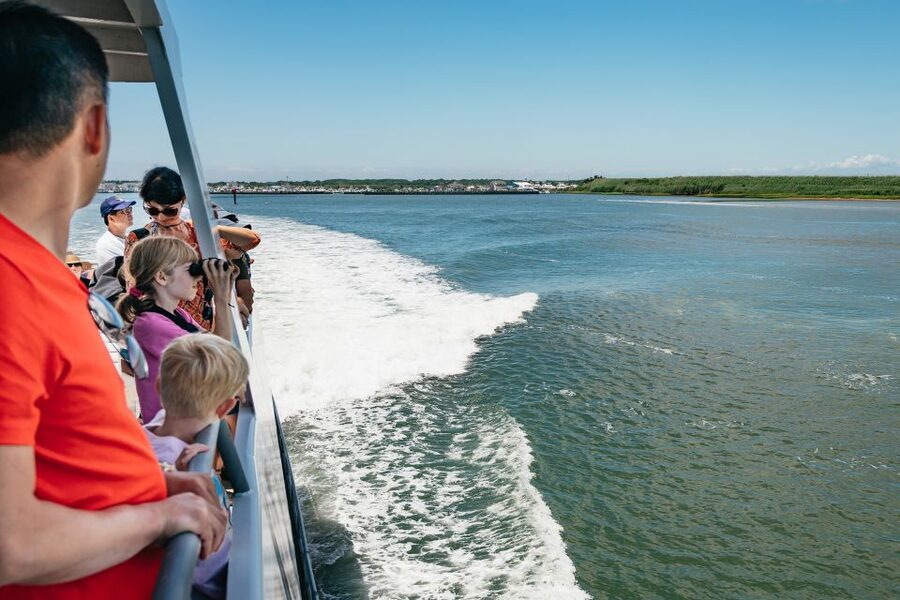 Cape May: Jersey Shore Whale and Dolphin Watching Cruise - Practical details that affect your day