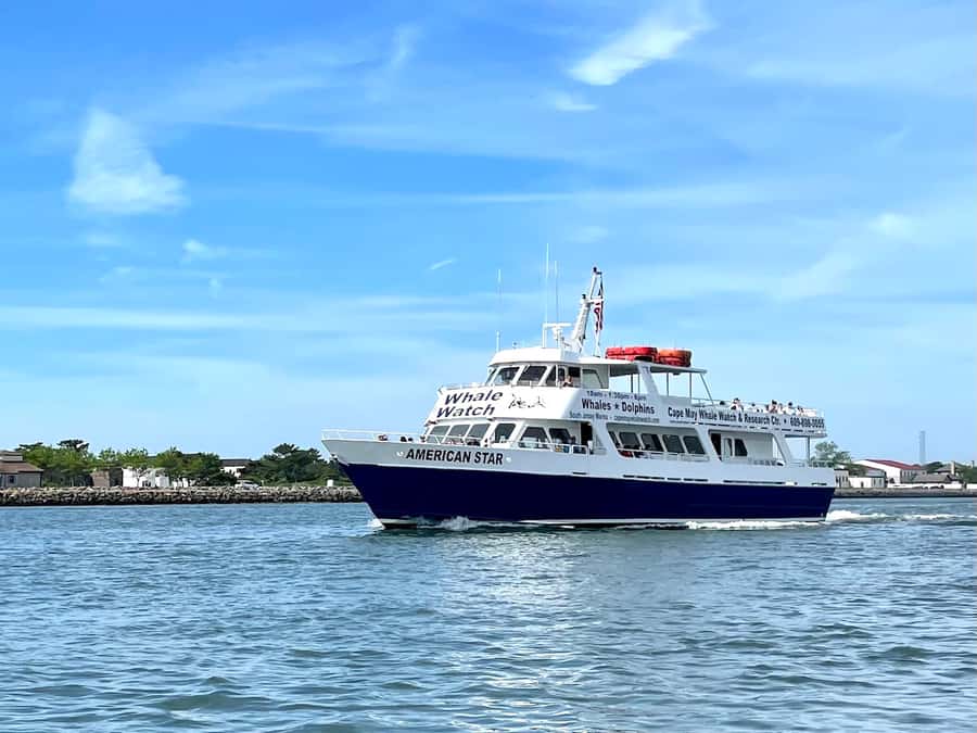 Cape May: Scenic Whale and Dolphin Watching Cruise - Three hours of wildlife watching from Cape May