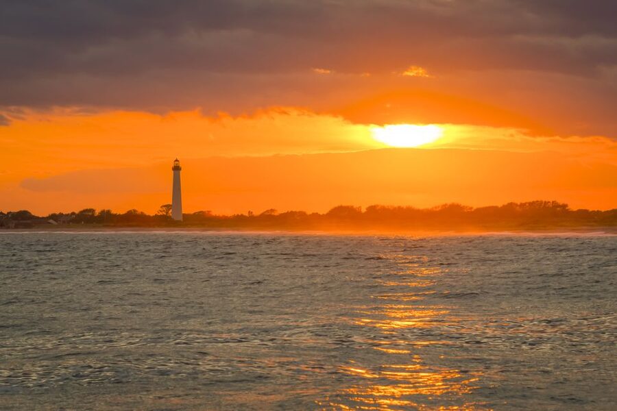 Cape May: Weekend Whale and Dolphin Watching Cruise - A two-hour cruise with a gentle pace