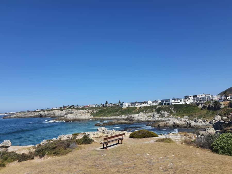 Cape Town: Hermanus Whale Watching Shared Boat & Penguins - Hermanus lunch and time in town