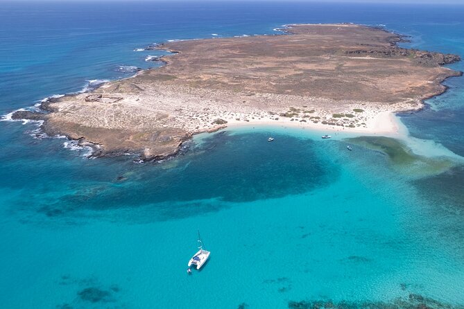 Catamaran Sailing Tour or Whale Watching at Boa Vista - Sailing across Sal Rei Bay in summer