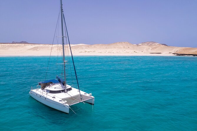 Catamaran Sailing Tour or Whale Watching at Boa Vista - What the small group changes