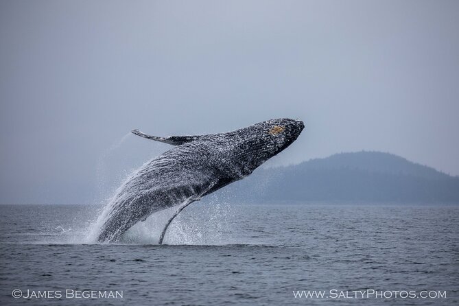 "Catch of the day" Whale-watching, Icy strait point, Hoonah - Comfort features that matter on an Alaska boat