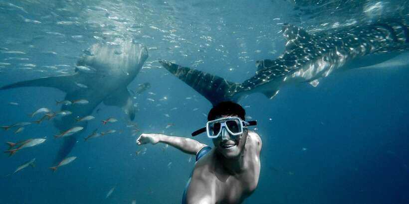 Cebu City: Whale Shark Swimming & Kawasan Falls Canyoneering - Transport, timing, and group choices