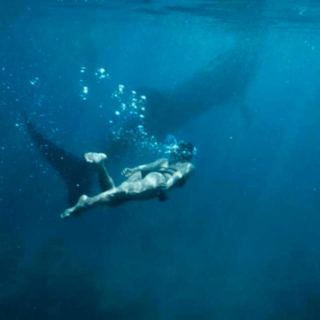 Cebu: Oslob Whale Shark, Sumilon, Ruins, Simala Church - Cuartel Ruins and the story of old Oslob