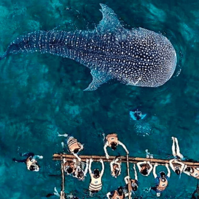 Cebu: Oslob Whale Shark, Sumilon, Ruins, Simala Church - Sumilon Island and its changing strip of sand