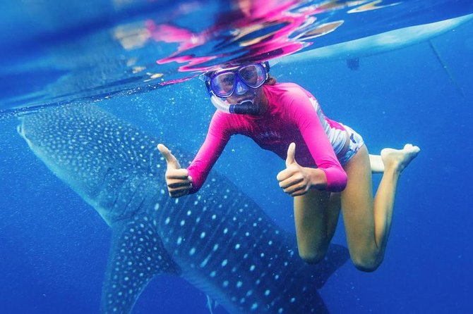 Cebu: Oslob Whale Shark Swimming and Kawasan Falls Canyoneering - The long transfer to Badian