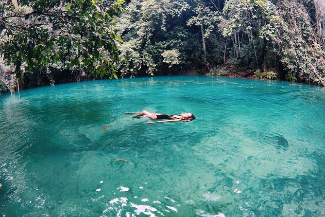 Cebu: Oslob Whale Shark Swimming and Kawasan Falls Canyoneering - Who will enjoy this Cebu adventure