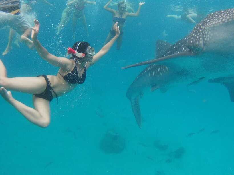 Cebu: Oslob Whale Shark Swimming and Tumalog Falls Tour - Tumalog Falls after the whale sharks