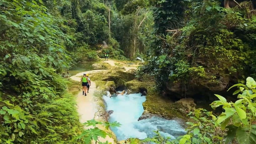 Cebu:Oslob Whale Shark Swimming & Kawasan Falls Canyoneering - Should you book the Oslob and Kawasan Falls combination?