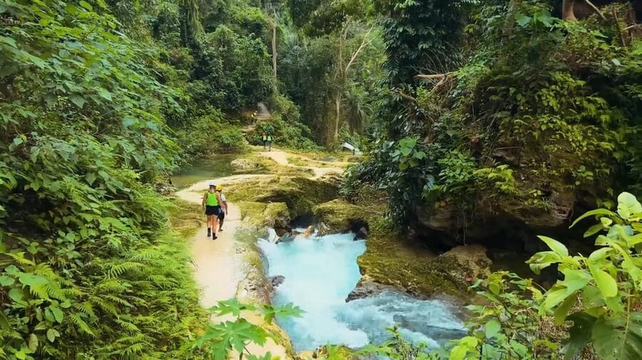 Cebu:Oslob Whale Shark Swimming & Kawasan Falls Canyoneering - Breakfast is separate, lunch is included