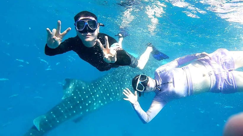 Cebu Oslob: Whale Shark Watching Experience - The very early ride from Cebu to Oslob