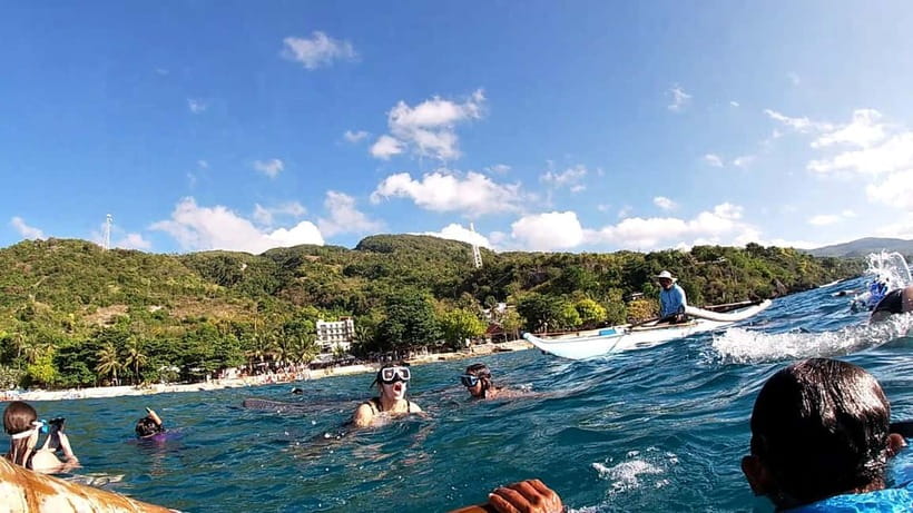 Cebu Oslob: Whale Shark Watching Experience - Who should book this experience