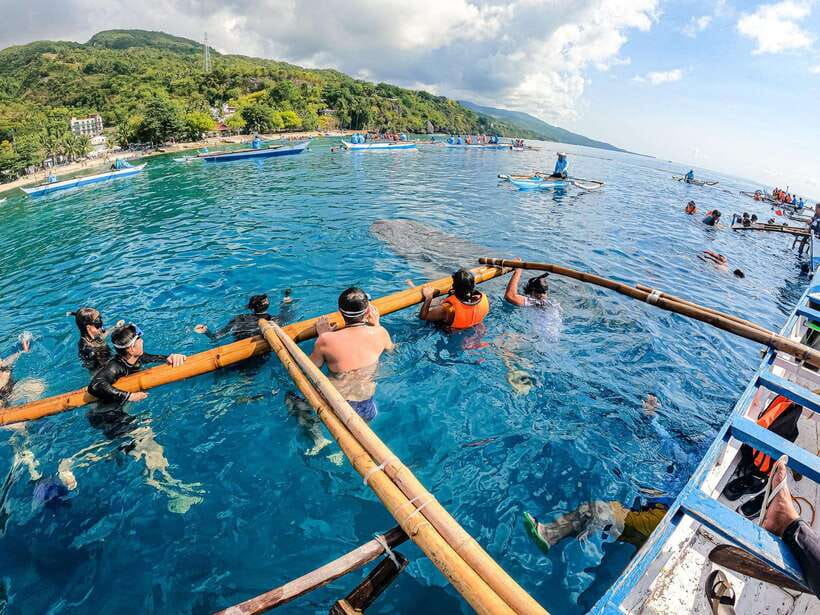 Cebu: Oslob Whale Sharks, Moalboal Sardine Run & Turtles - Before sunrise: the ride to Oslob