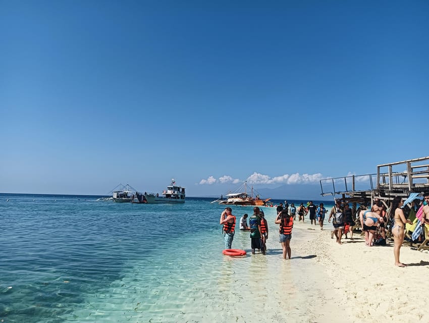 Cebu: Oslob Whale Sharks, Tumalog Falls & Sardine Snorkeling - Sea turtles and local water guides