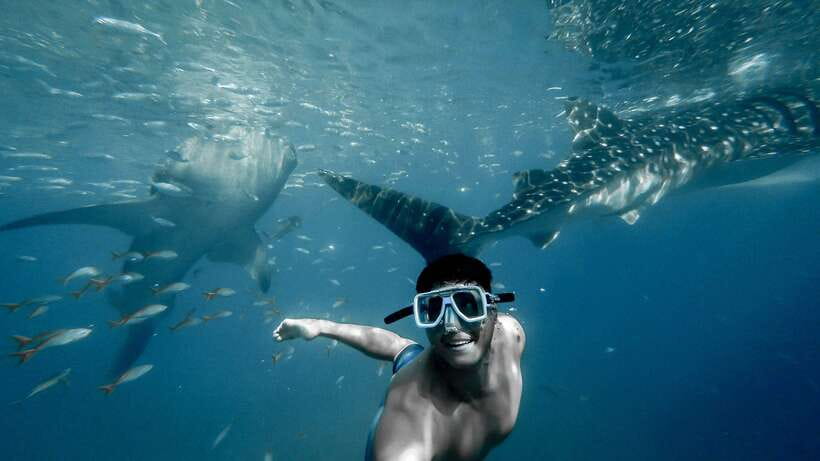 Cebu: Private Sumilon Island & Optional Whale Shark Swim - Arriving at Oslob and crossing to Sumilon
