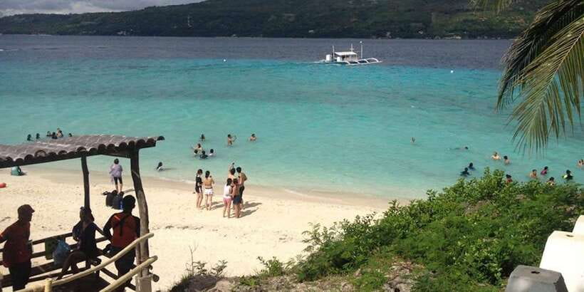 Cebu: Private Sumilon Island & Optional Whale Shark Swim - Who will enjoy this Cebu day trip?