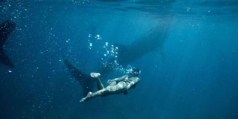 Cebu: Sumilon Sand Bar, Whale Sharks & Sardines Snorkeling - Practical packing advice for the water
