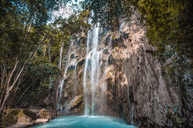 Cebu Whale Shark Encounter, Moalboal Sardines & Tumalog Falls - A 4 a.m. start and a long ride south
