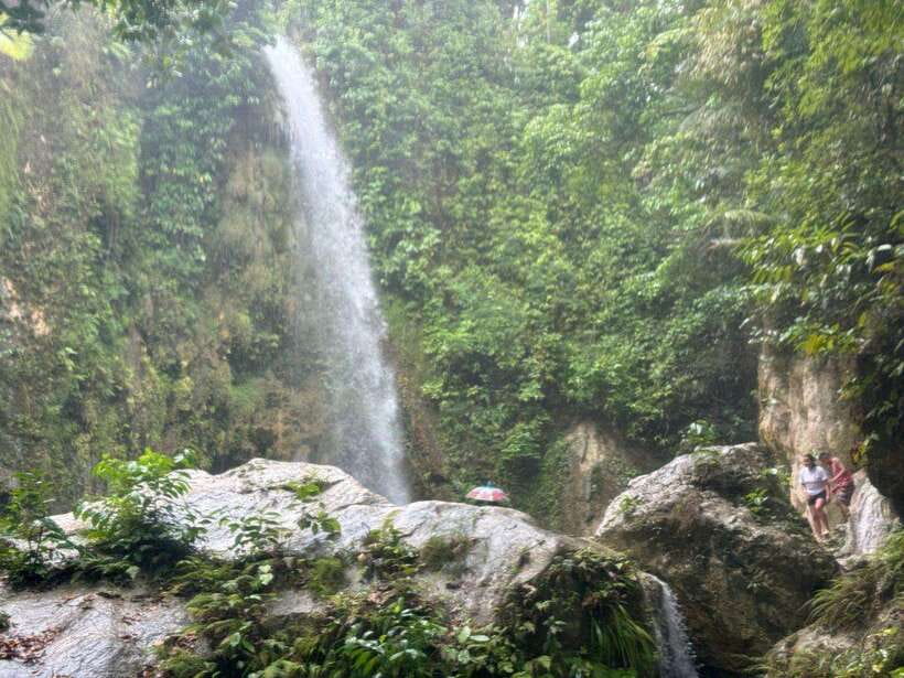 Cebu: Whale Shark, Inambakan Falls & Moalboal Sardine Tour - The big Cebu day: whale sharks, waterfall, and sardines