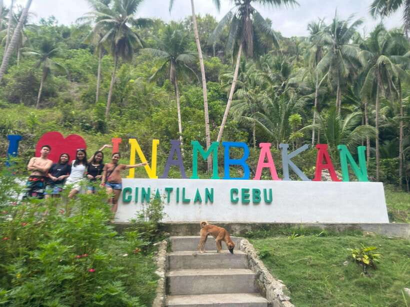 Cebu: Whale Shark, Inambakan Falls & Moalboal Sardine Tour - Oslob starts before sunrise
