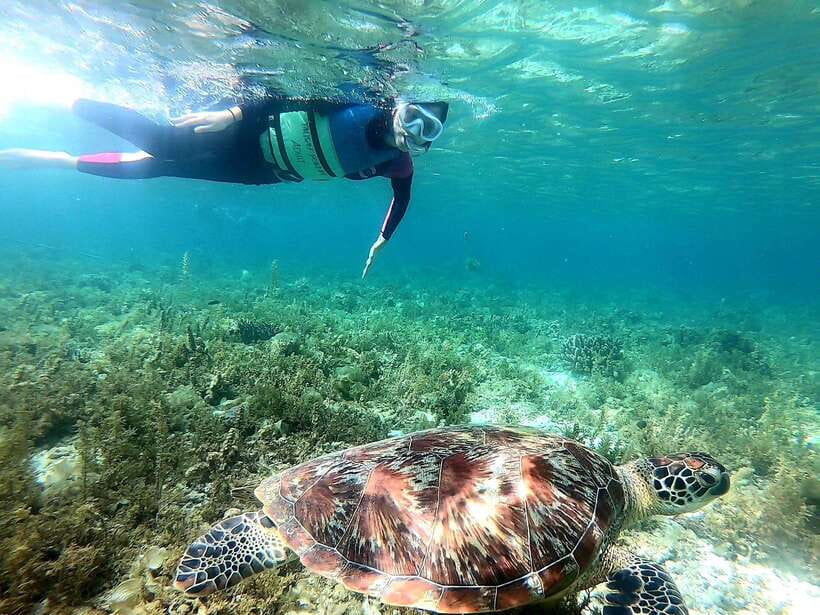 Cebu: Whale Shark, Inambakan Falls & Moalboal Sardine Tour - Cooling off at Inambakan Falls
