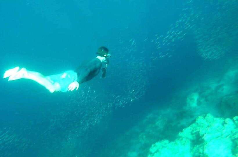 Cebu: Whale Shark, Inambakan Falls & Moalboal Sardine Tour - The road time is part of the deal