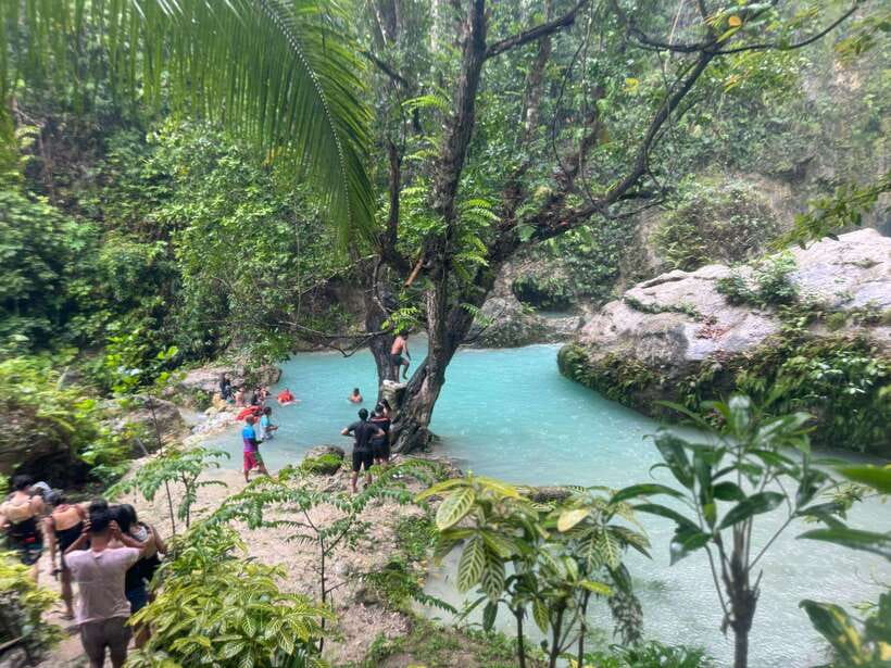 Cebu: Whale Shark, Inambakan Falls & Moalboal Sardine Tour - Swimming with Oslob’s whale sharks