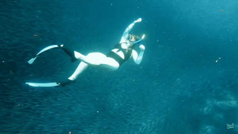 Cebu: Whale Shark Oslob and Moalboal Snorkeling Adventure - Time to Rest After the Water
