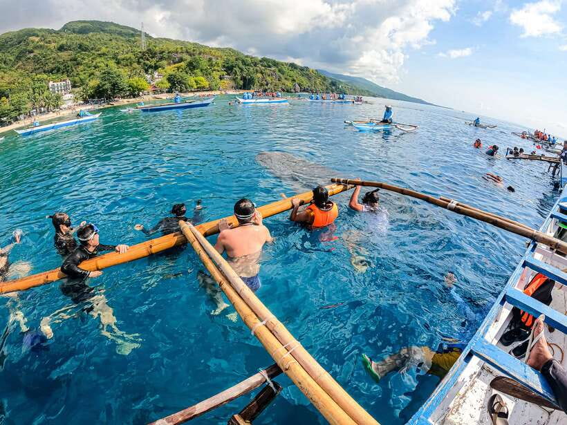 Cebu: Whale Shark Snorkeling & Kawasan Canyoning Tour - Practical tips for making the day easier