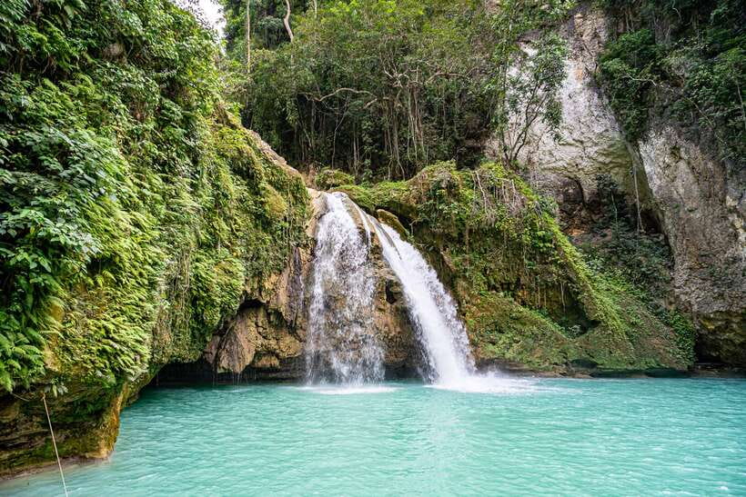 Cebu: Whale Shark Snorkeling & Kawasan Canyoning Tour - Who will enjoy this experience most
