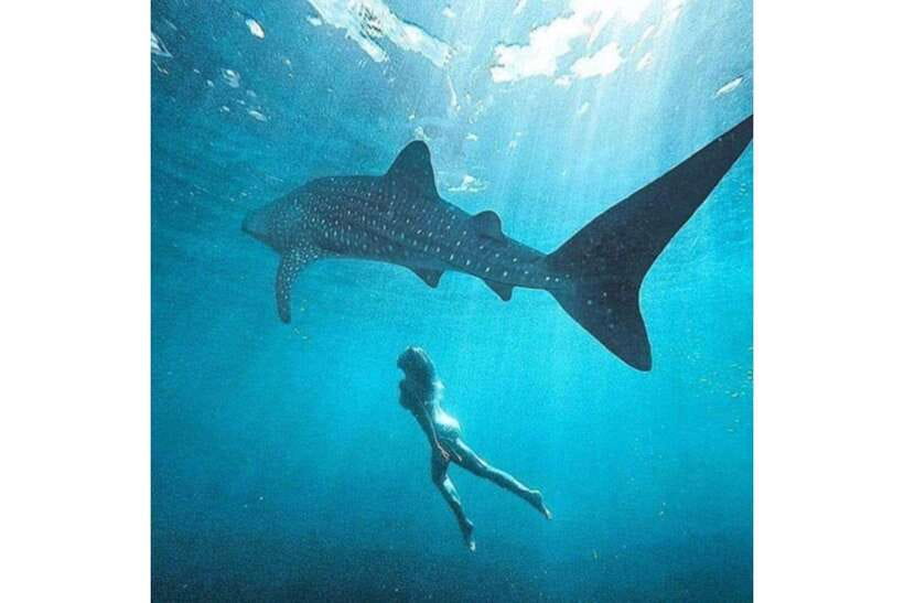 Cebu: Whale Shark Swim and Kawasan Canyoneering Group Tour - Lunch in Badian and the ride back