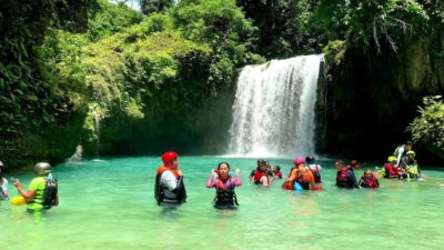 Cebu: Whale Shark Swim and Kawasan Canyoneering Tour